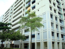 woodlands-drive-50 photo thumbnail #14